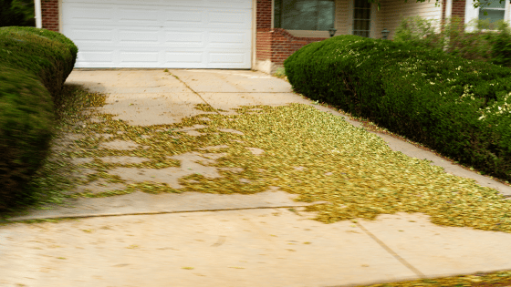 Downed leaves in an aurora CO home driveway indicating the roof may have hail damage