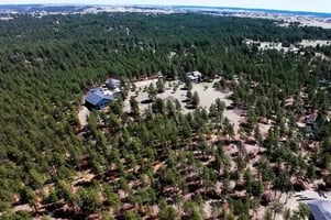 Franktown homes in the middle of pine forest