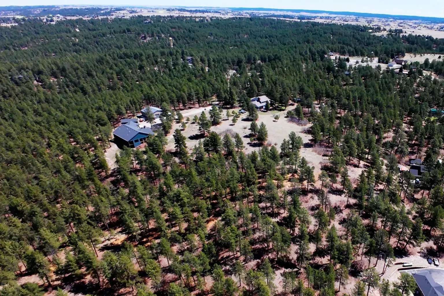 Franktown homes in the middle of pine forest