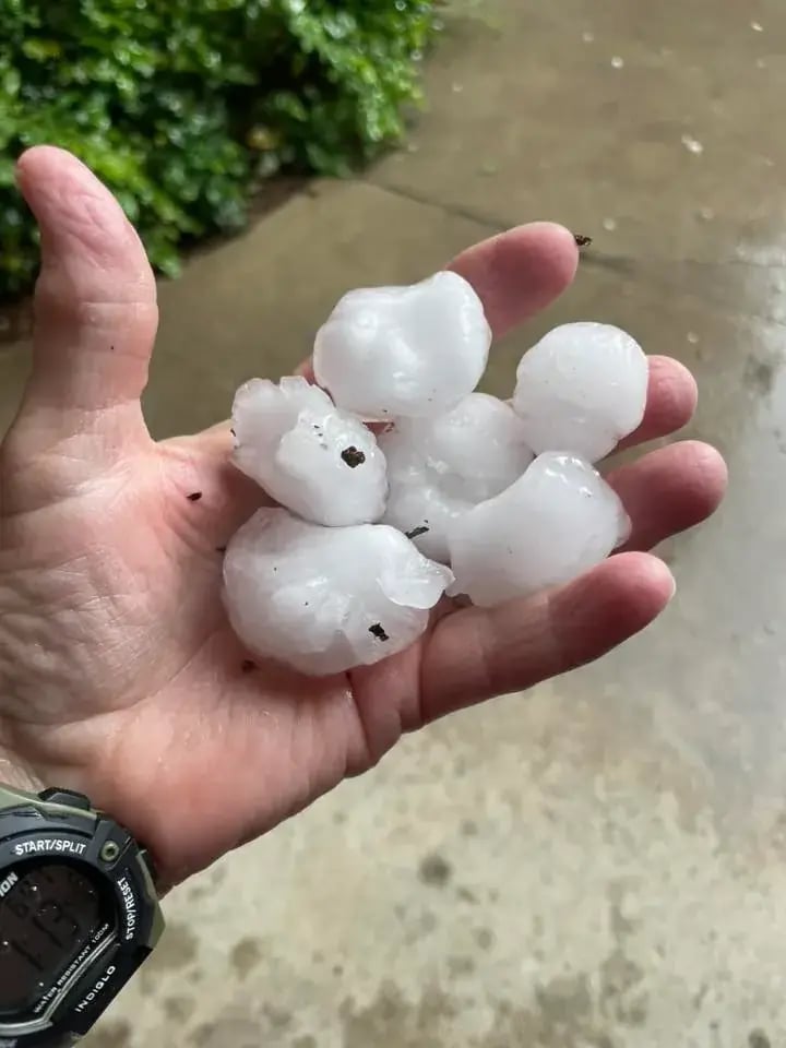 golf ball sized hail being held in the left hand palm of a Lakewood homeowner