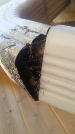 20160912_090215-576x1024