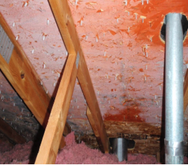 Screen-Shot-2020-03-05-at-3.49.41-PM