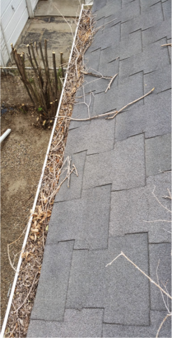 Screen-Shot-2020-03-05-at-3.52.04-PM