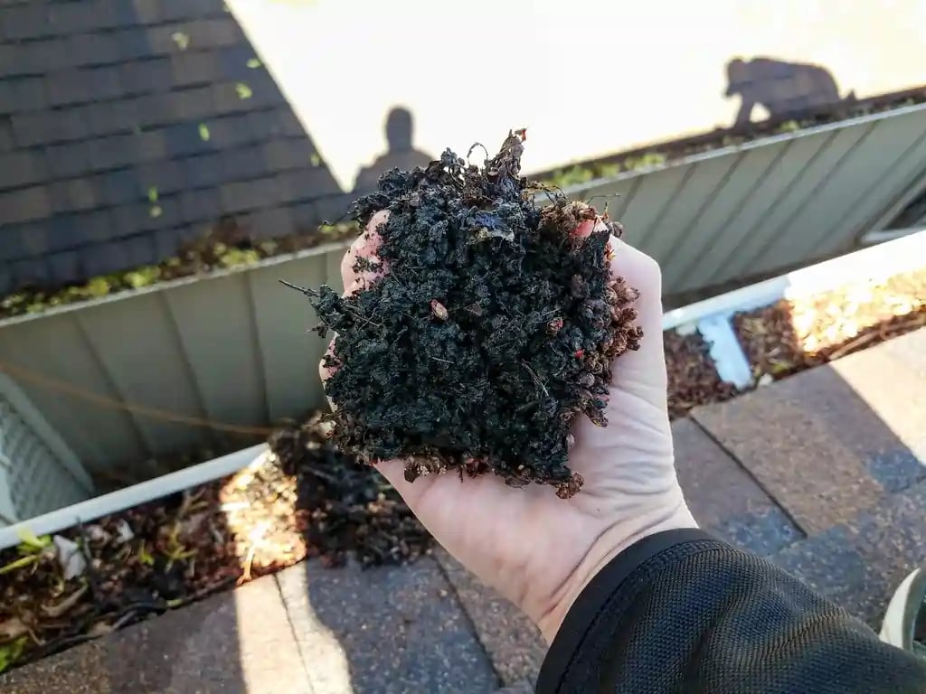 its fall time to clean your gutters