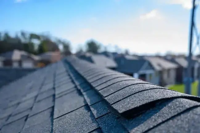 Roof-Perspective-1-2