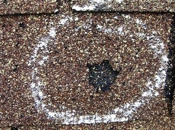 asphalt-shingle-not-a-blister