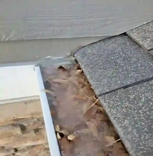 a rain gutter that is completely clogged with fall leaves