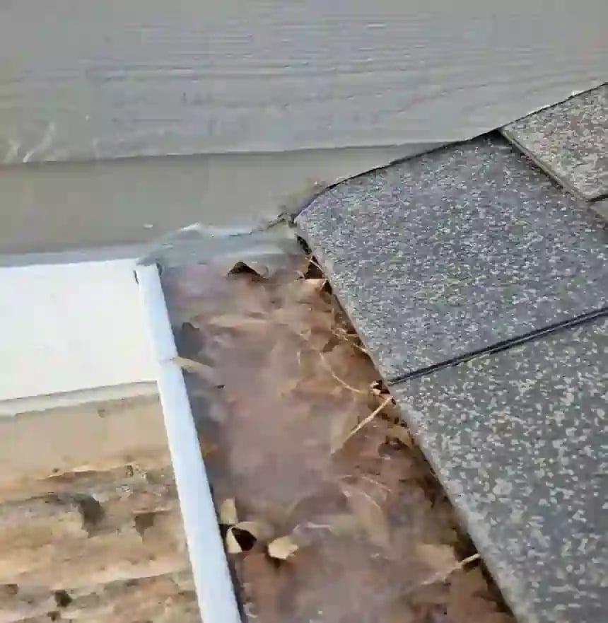 a rain gutter that is completely clogged with fall leaves