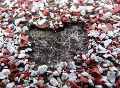 heat blister shingle