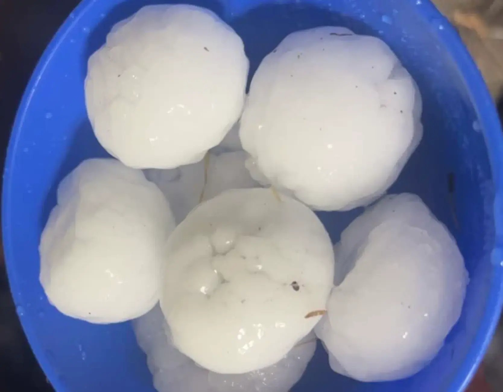 huge hail balls from ft morgan colorado june 24th 2026