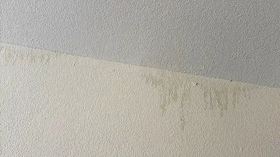 roof leak apparent in garage