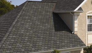 asphalt shingle roof