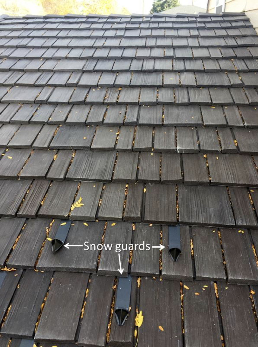 Snow Guards Image