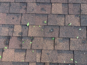 Roof with Hail Damage